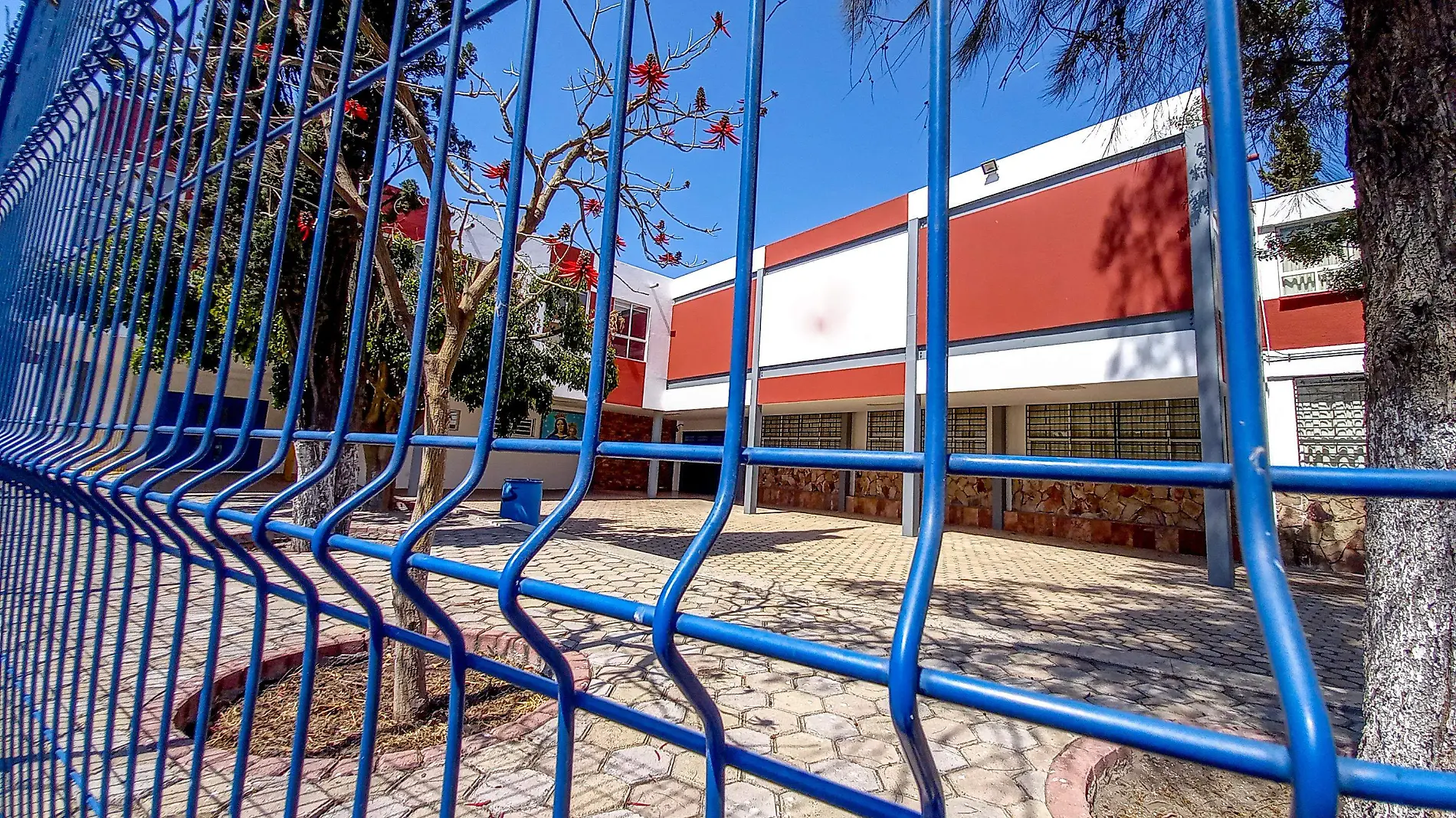 1A ESCUELA PRIVADA_YL